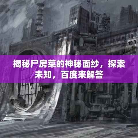 揭秘尸房菜的神秘面纱,探索未知,百度来解答