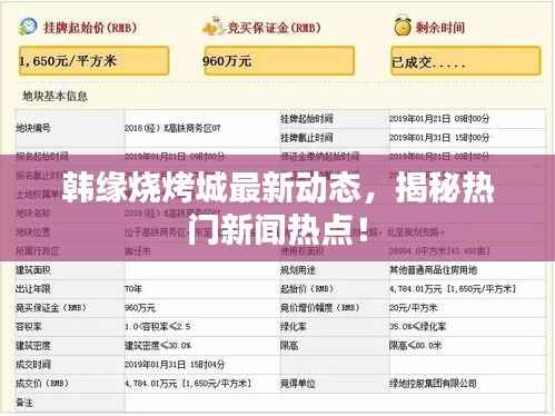 韩缘烧烤城最新动态，揭秘热门新闻热点！