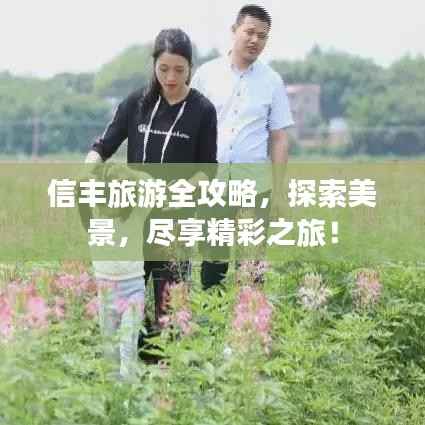 信丰旅游全攻略,探索美景,尽享精彩之旅!
