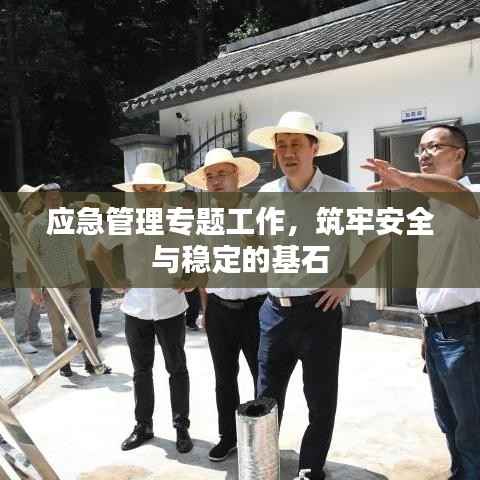 应急管理专题工作，筑牢安全与稳定的基石