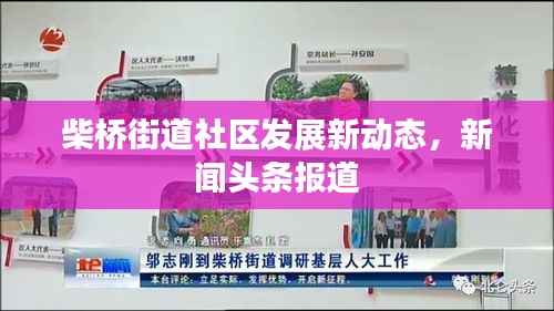 柴桥街道社区发展新动态,新闻头条报道