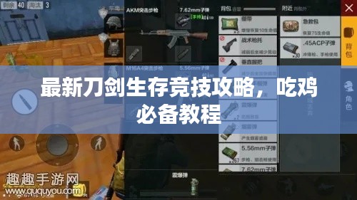 最新刀剑生存竞技攻略,吃鸡必备教程