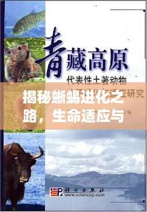 揭秘蜥蜴进化之路,生命适应与变革的韧性之旅