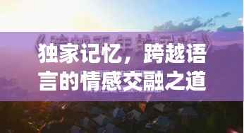 独家记忆,跨越语言的情感交融之道