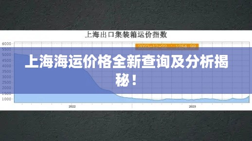 上海海运价格全新查询及分析揭秘！