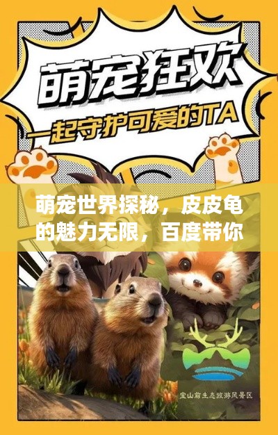 萌宠世界探秘,皮皮龟的魅力无限,百度带你开启萌宠之旅