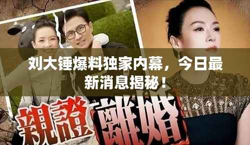 刘大锤爆料独家内幕,今日最新消息揭秘!
