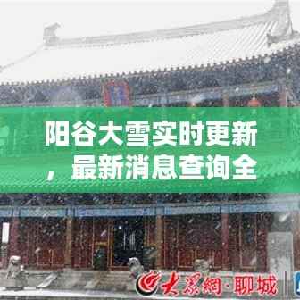 阳谷大雪实时更新,最新消息查询全掌握