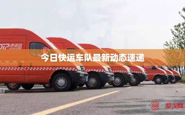 今日快运车队最新动态速递