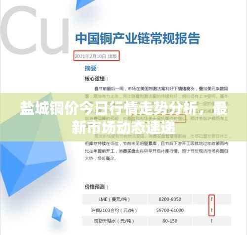 盐城铜价今日行情走势分析,最新市场动态速递