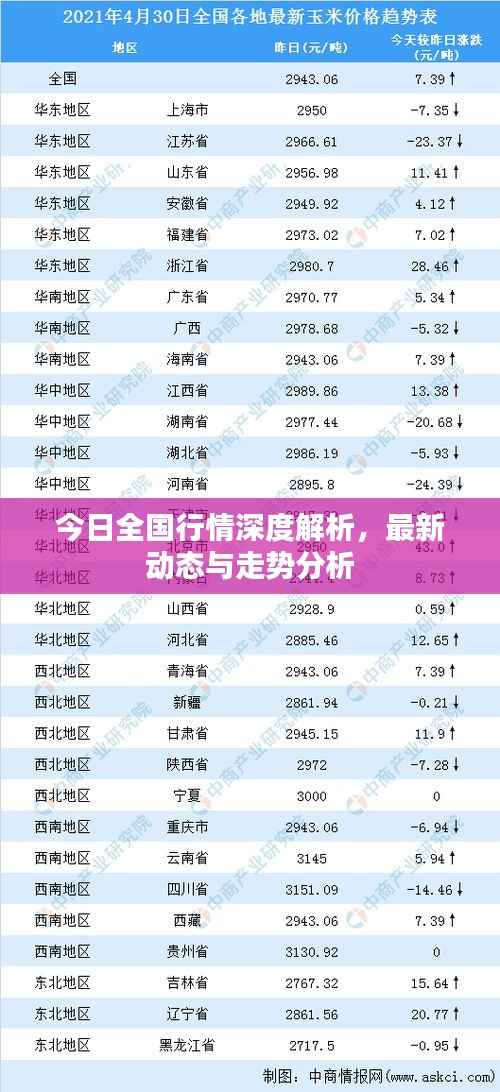 今日全国行情深度解析,最新动态与走势分析