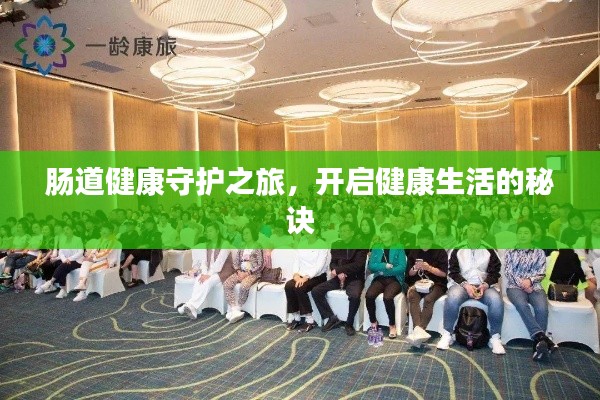 肠道健康守护之旅，开启健康生活的秘诀