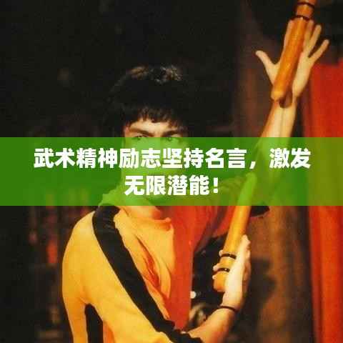 武术精神励志坚持名言,激发无限潜能!