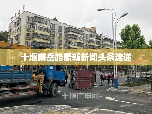 十堰南岳路最新新闻头条速递