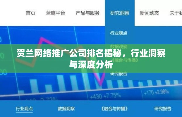 贺兰网络推广公司排名揭秘,行业洞察与深度分析