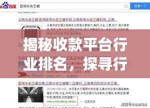 揭秘收款平台行业排名,探寻行业领军者的成功秘诀!