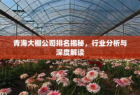 青海大棚公司排名揭秘,行业分析与深度解读