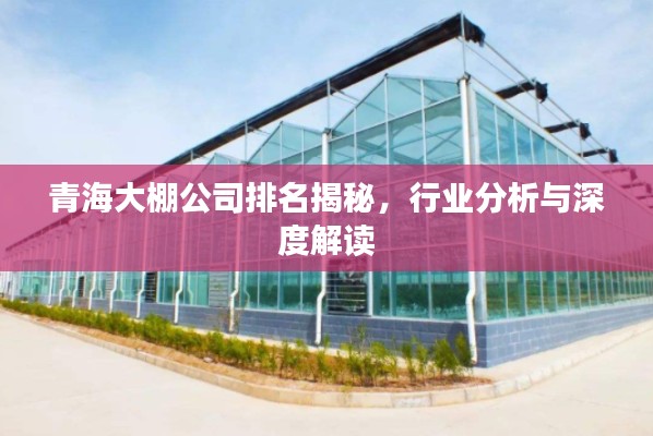 青海大棚公司排名揭秘,行业分析与深度解读