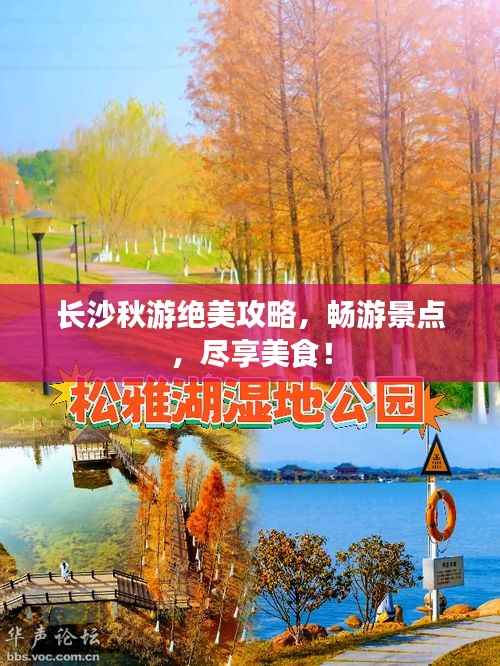 长沙秋游绝美攻略,畅游景点,尽享美食!