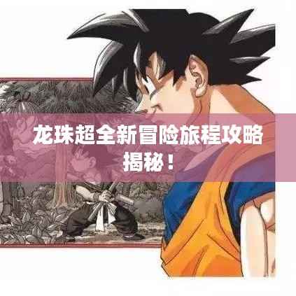 龙珠超全新冒险旅程攻略揭秘!