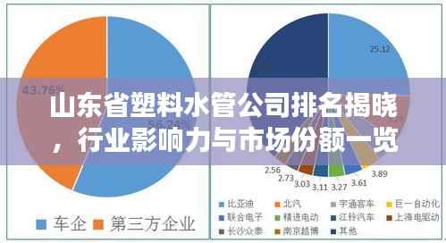 山东省塑料水管公司排名揭晓,行业影响力与市场份额一览