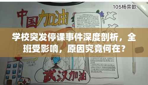 学校突发停课事件深度剖析，全班受影响，原因究竟何在？