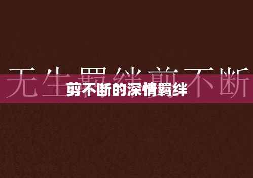 剪不断的深情羁绊