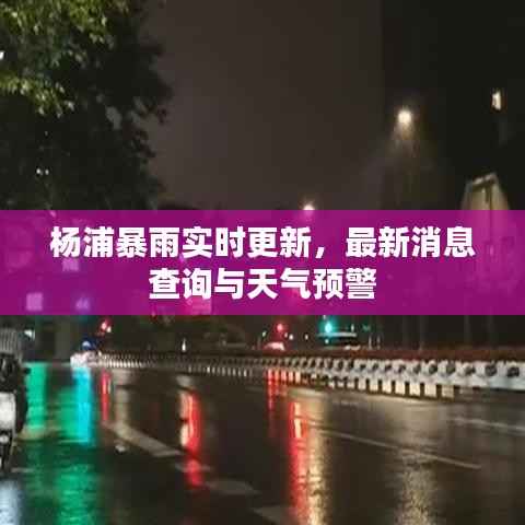 杨浦暴雨实时更新,最新消息查询与天气预警