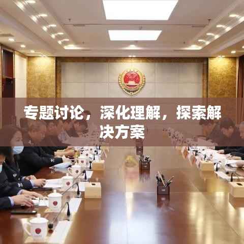 专题讨论,深化理解,探索解决方案