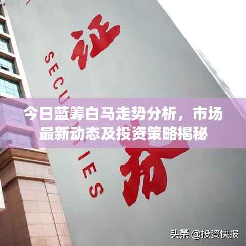 今日蓝筹白马走势分析,市场最新动态及投资策略揭秘