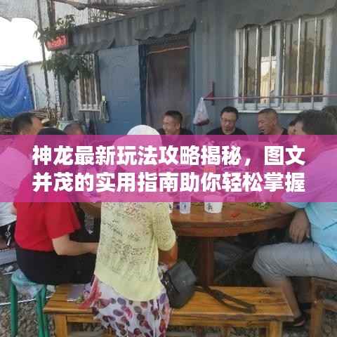 神龙最新玩法攻略揭秘,图文并茂的实用指南助你轻松掌握!