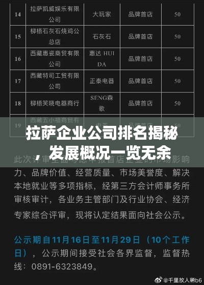 拉萨企业公司排名揭秘，发展概况一览无余
