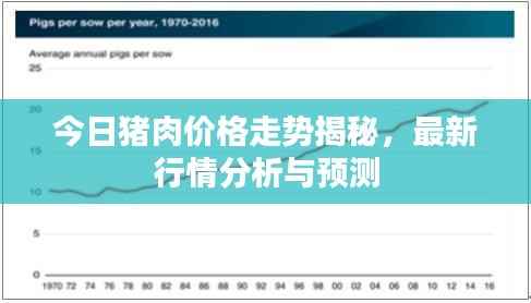 今日猪肉价格走势揭秘,最新行情分析与预测