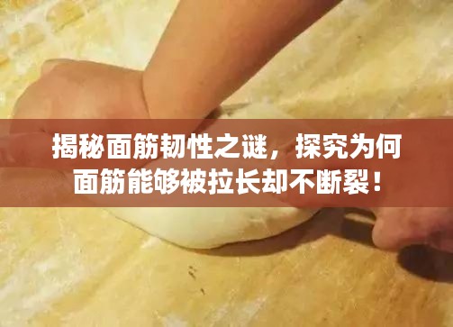 一花独放 第3页