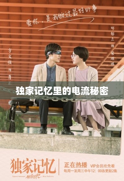 独家记忆里的电流秘密