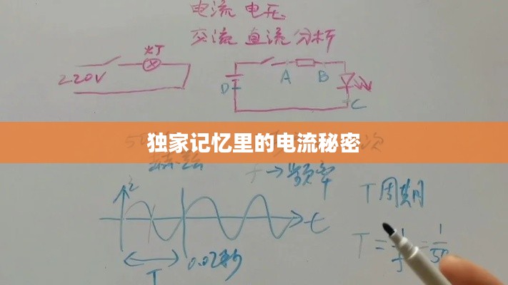 独家记忆里的电流秘密