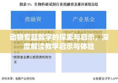 动物专题教学的探索与启示,深度解读教学启示与体验