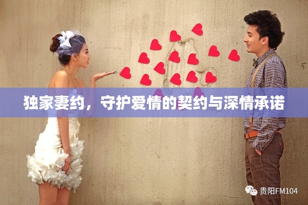 独家妻约，守护爱情的契约与深情承诺