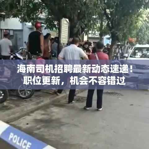 海南司机招聘最新动态速递!职位更新,机会不容错过
