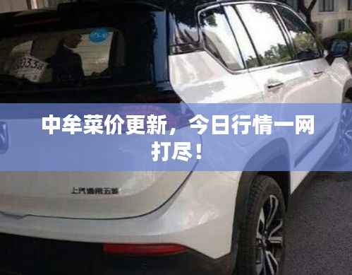 中牟菜价更新，今日行情一网打尽！