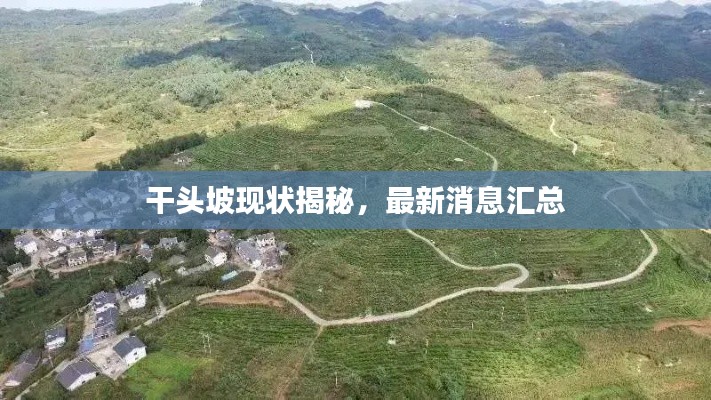 干头坡现状揭秘,最新消息汇总