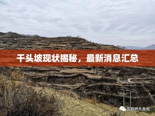 干头坡现状揭秘,最新消息汇总