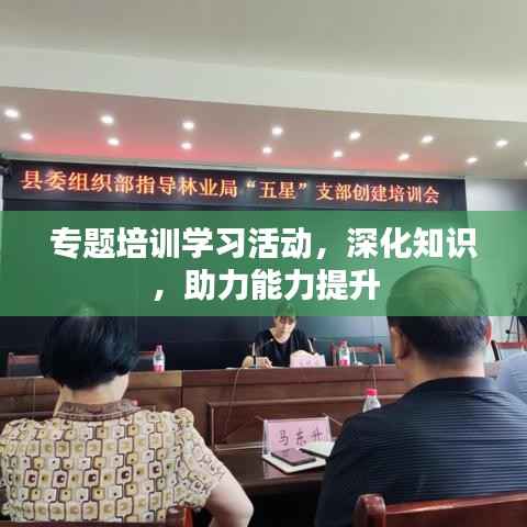 专题培训学习活动,深化知识,助力能力提升