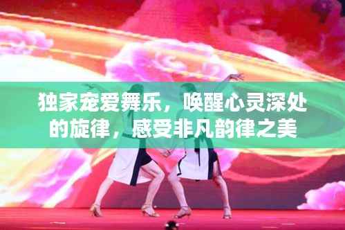 独家宠爱舞乐，唤醒心灵深处的旋律，感受非凡韵律之美