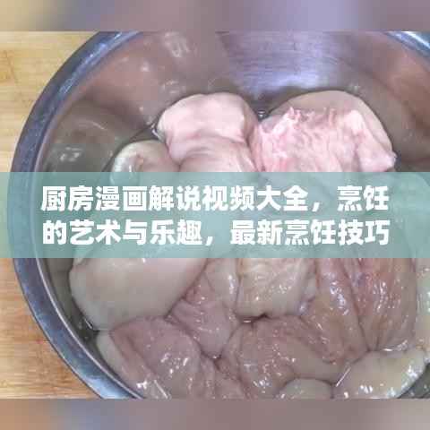厨房漫画解说视频大全,烹饪的艺术与乐趣,最新烹饪技巧大揭秘!