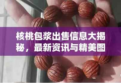 核桃包浆出售信息大揭秘,最新资讯与精美图片一网打尽