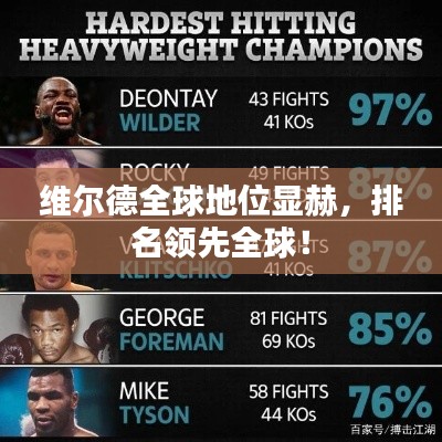 维尔德全球地位显赫,排名领先全球!