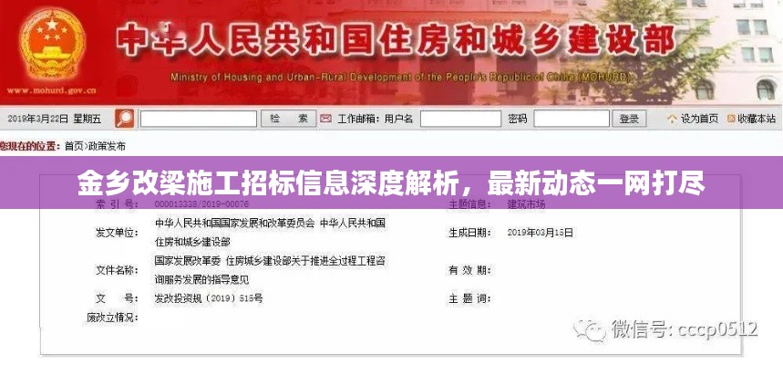 金乡改梁施工招标信息深度解析,最新动态一网打尽