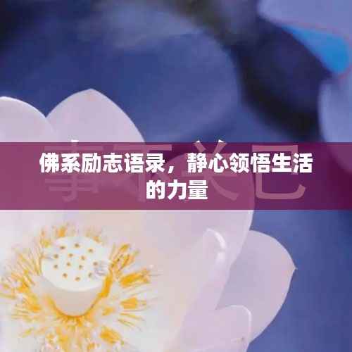 佛系励志语录,静心领悟生活的力量