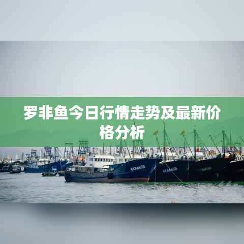 罗非鱼今日行情走势及最新价格分析